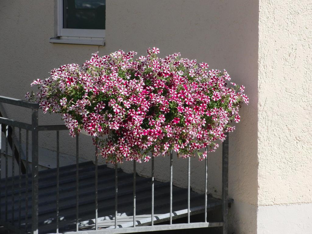 Gasthof Haus Hildegard 2*